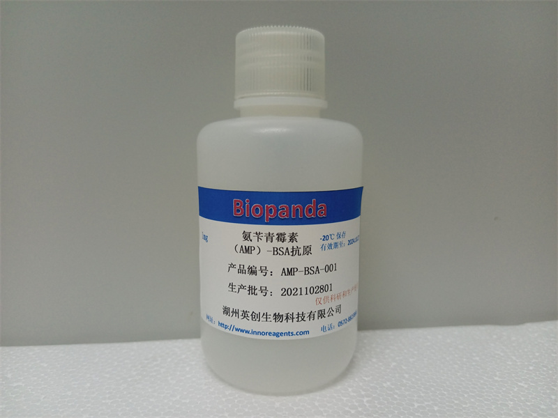 氨苄青黴素（AMP）-BSA抗原